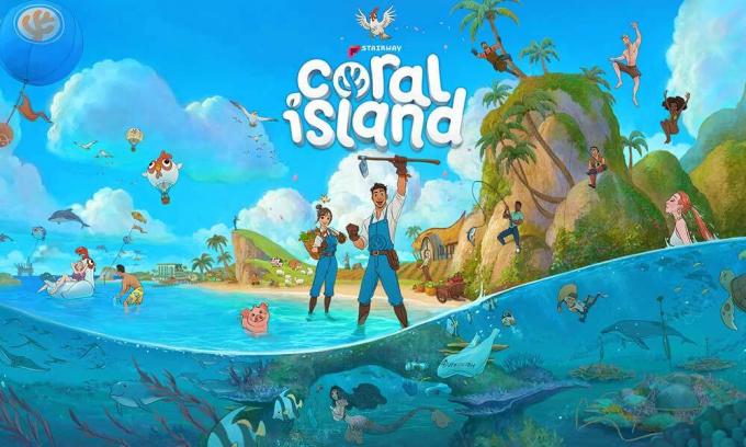 Corrección: Coral Island Low FPS Drops en PC | Aumentar el rendimiento