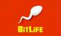 Hvordan vinne lotteri og bli rik på BitLife