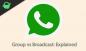 Skirtumas tarp „WhatsApp“ grupės ir transliacijos: paaiškinta