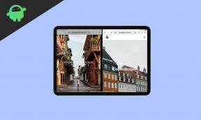 كيفية تقسيم الشاشة في Safari على Apple iPad؟