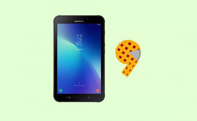 Android Pie pro Galaxy Tab Active 2