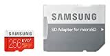 Immagine della scheda di memoria Samsung MB-MC256DAEU EVO Plus da 256 GB MicroSDXC UHS-I grado 3 Classe 10 con adattatore SD