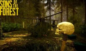 Kako riješiti problem igre Sons of the Forest za više igrača i povezivanja na računalu