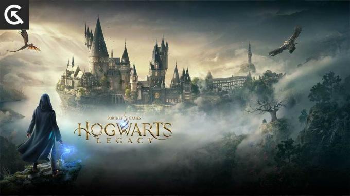 Hoe moeilijkheidsinstellingen in Hogwarts Legacy te wijzigen