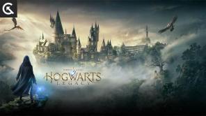 Lista cu toate vrăjile și farmecele din Hogwarts Legacy