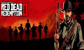 Red Dead Redemption 2: RDR2