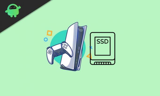 Popravek: Koda napake PS5 CE-100028-1 | Na SSD-ju ni dovolj prostega prostora