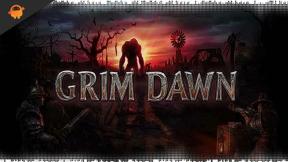 Speicherort des Grim Dawn-Spiels