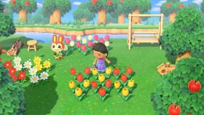 Come allevare fiori con gli amici in Animal Crossing New Horizons?