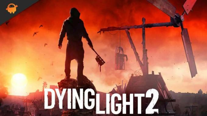 Er Dying Light 2 Stay Human Cross-Platform Crossplay? 