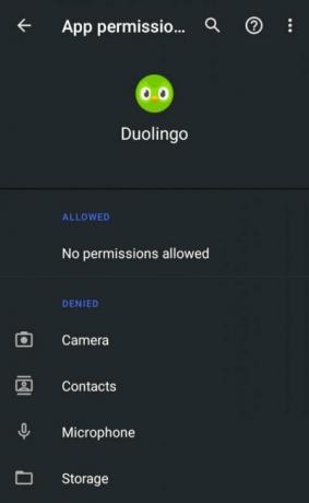 תיקון: מיקרופון אפליקציית Duolingo לא עובד באנדרואיד 12