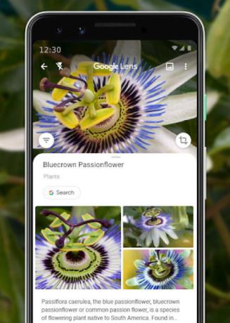 Recherche d'images inversées de Google sur votre appareil Android à l'aide de l'objectif Google