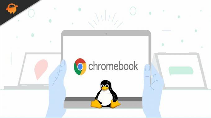 Como consertar se o Linux não estiver instalado no Chromebook?