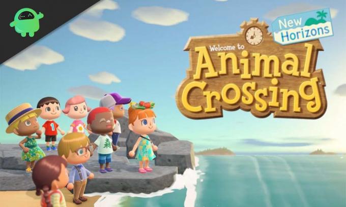 Nuovi pesci e insetti aggiunti ad Animal Crossing: New Horizons a luglio 2020