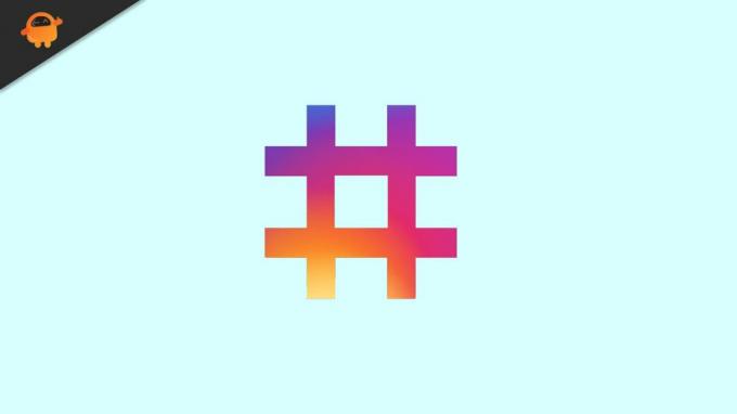 Hashtags באינסטגרם 