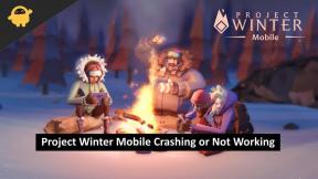 Correzione: Project Winter Mobile si arresta in modo anomalo o non funziona su iPhone e Android