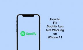 Spotify-appen fungerar inte på min iPhone 11: Hur fixar jag det?