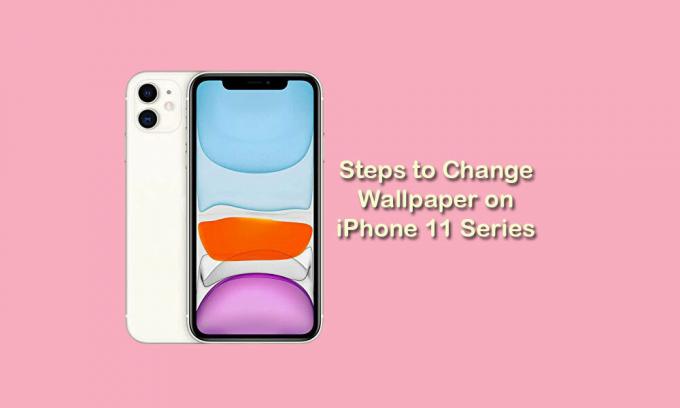 Jak změnit tapetu na iPhone 11, 11 Pro a 11 Pro Max