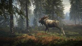 TheHunter Call of the Wild no puede encontrar animales: consejos para localizar animales en el juego