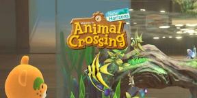 Hvordan fange angelfish i Animal Crossing New Horizons?