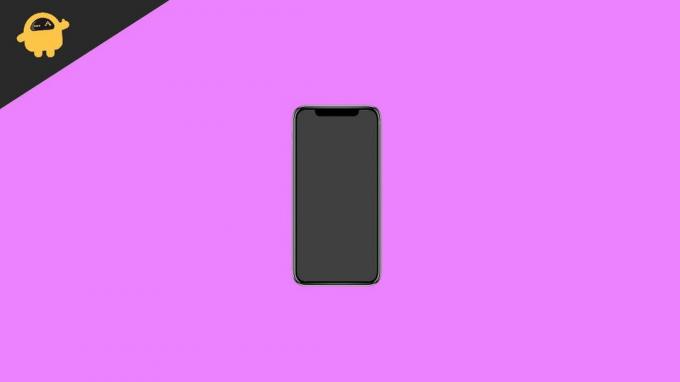 Διορθώστε το πρόβλημα της μαύρης οθόνης του iPhone 13, 13 Pro και 13 Pro Max