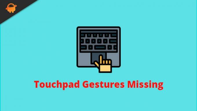 Oprava: Chýbajú gestá touchpadu Windows 11