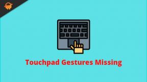Correzione: gesti del touchpad di Windows 11 mancanti