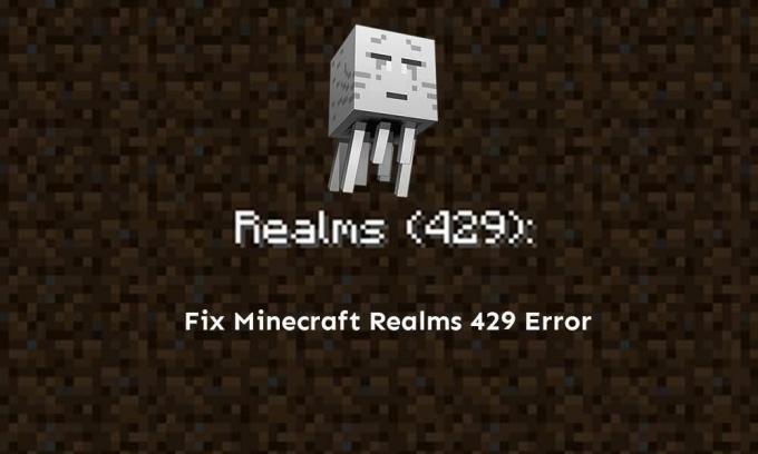 Oprava: Chybový kód 429 Minecraft Realms