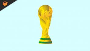 FIFA World Cup x Bitcoin-Wettseiten