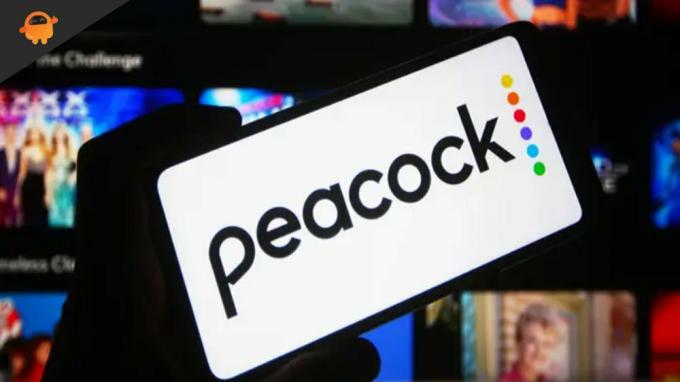Reparer: Peacock TV Beklager at noe gikk galt