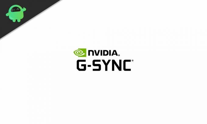 Ką daryti, jei „G-Sync“ neveikia „Windows 10“?