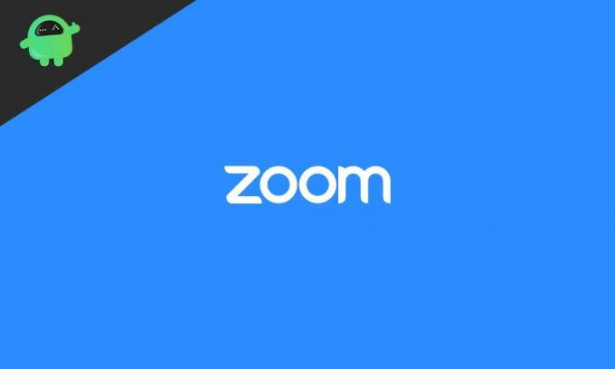 Zoom skjermdeling