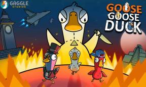 Correction: Goose Goose Duck Pas de problème de son