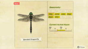 Jak złapać Banded Dragonfly w Animal Crossing: New Horizons