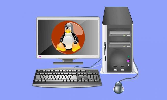 Come eseguire una macchina virtuale su Linux