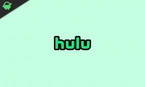 Kaip ištaisyti „Hulu“ klaidos kodą 503