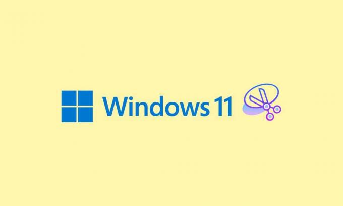 Javítás: A Windows 11 frissítése után a Snipping Tool nem működik