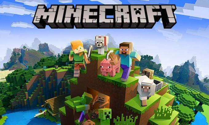 „Minecraft“ spalvų kodų ir formatų sąrašas