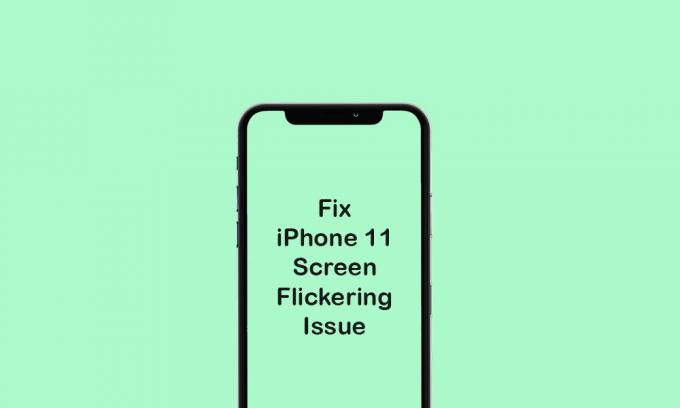 Sådan løses problemet med flimrende skærm på iPhone 11