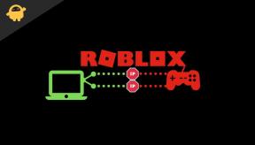 Hvordan omgå et forbud i Roblox