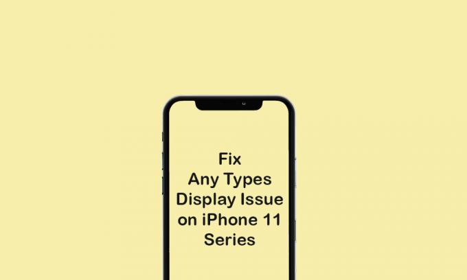 Tous les types de problèmes d'affichage sur iPhone 11 et 11 Pro