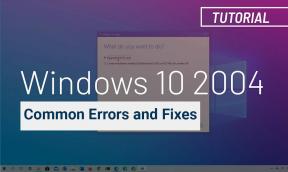 Pogosti problemi in rešitve sistema Windows 10 2004: popravki in rešitve