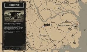 Kur rasti madam Nazarą „Red Dead Redemption 2“: internete