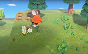 Jak złapać krety świerszcze w Animal Crossing