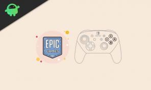 Sådan bruges Switch Pro Controller med Epic Games Store-spil