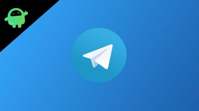 telegram bericht voorbeeld