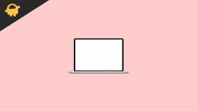 Korjaus: MacBook Pron valkoinen näyttö Apple-logon jälkeen