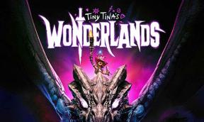 תיקון: Multiplayer של Tiny Tina's Wonderlands לא עובד על PC, Xbox Series, PS4, PS5