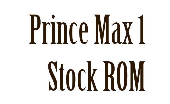 Lager-ROM på Prince Max 1