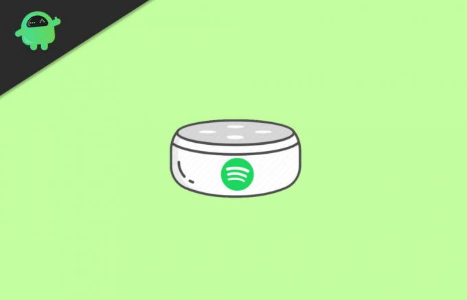 Sådan linkes Spotify til dine Alexa-produkter